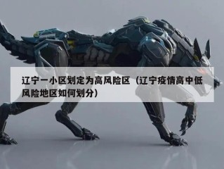 辽宁一小区划定为高风险区（辽宁疫情高中低风险地区如何划分）