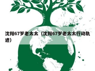 沈阳67岁老太太（沈阳67岁老太太行动轨迹）